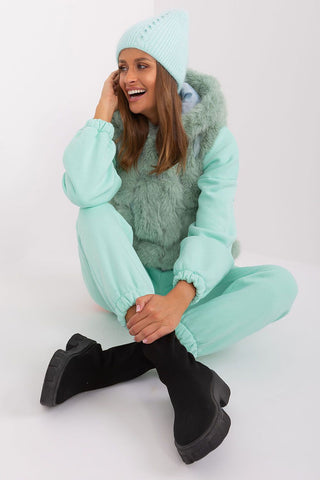  pet model 189252 AT 