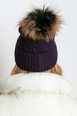  pet model 208254 AT 