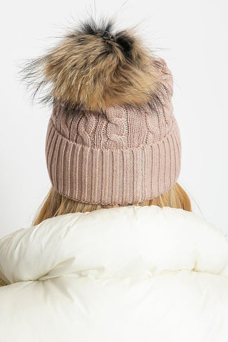 pet model 208256 AT 