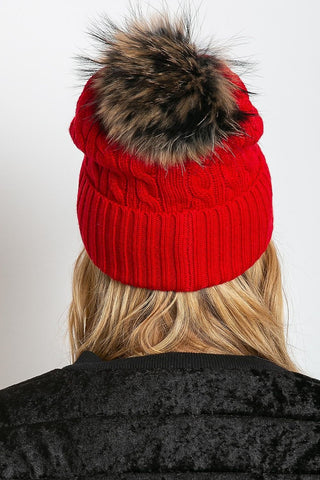  pet model 208260 AT 