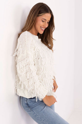  trui model 217052 Rue Paris 
