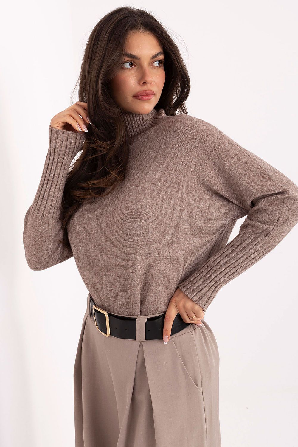  golf model 219895 Rue Paris 
