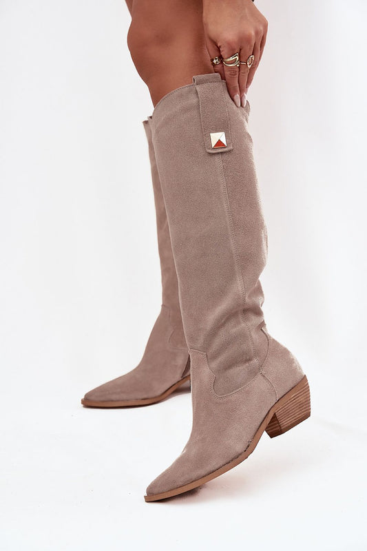  Laarzen met hoge hakken model 220209 Step in style 